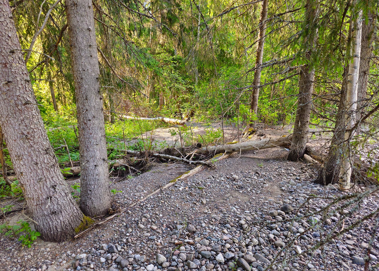 Svämskog - naturvärdesinventering